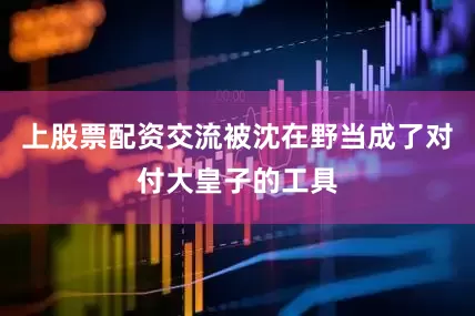 上股票配资交流被沈在野当成了对付大皇子的工具