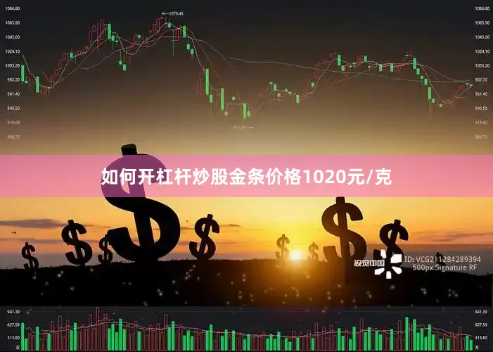 如何开杠杆炒股金条价格1020元/克