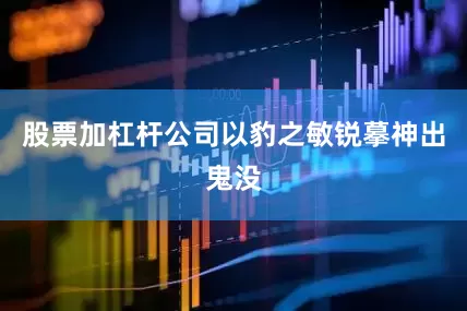 股票加杠杆公司以豹之敏锐摹神出鬼没