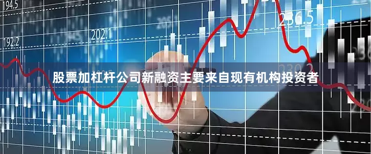 股票加杠杆公司新融资主要来自现有机构投资者