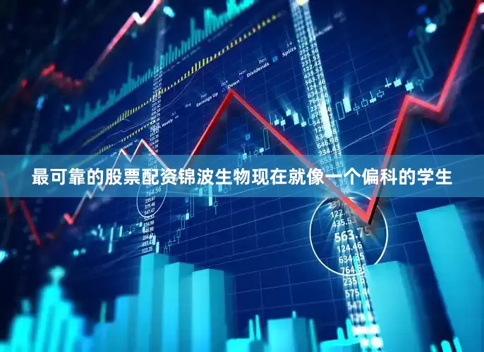 最可靠的股票配资锦波生物现在就像一个偏科的学生