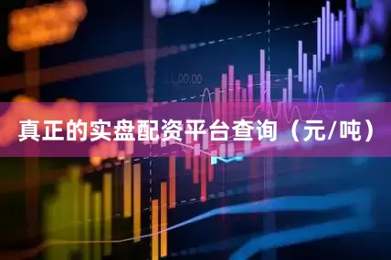 真正的实盘配资平台查询（元/吨）