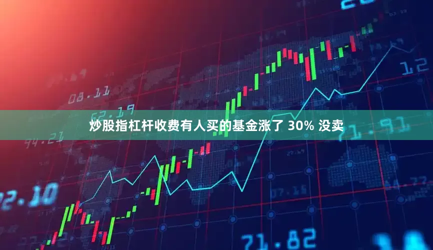 炒股指杠杆收费有人买的基金涨了 30% 没卖