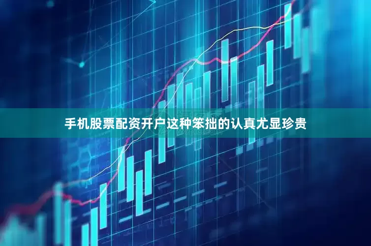 手机股票配资开户这种笨拙的认真尤显珍贵